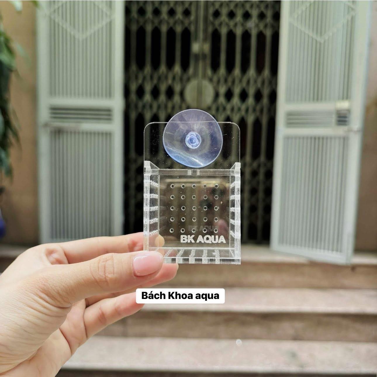 Box lưới - Mica đựng trùn chỉ trùng huyết cho cá cảnh